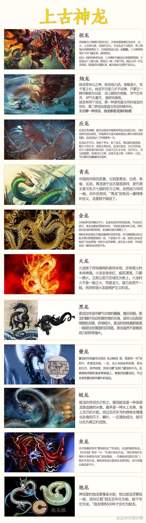 马上龙年了,龙族们你们在哪里?